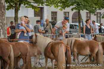 IN BEELD. Stralende nazomerdag zorgt voor enorme drukte tijdens 74ste Leuvense Jaarmarkt: “Cattle-walk was succes, maar kan nog beter”