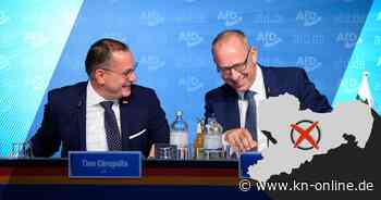 Landtagswahlen in Sachsen und Thüringen: Wie die AfD mit ihrem Erfolg umgeht