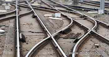 Geen treinverkeer tussen Arnhem en Winterswijk door omgevallen boom op spoor, trein kan op tijd remmen