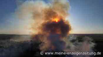 Schwerste Brände seit 14 Jahren in Brasilien