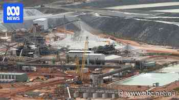 These two Australian miners have been riding the lithium rollercoaster — one is hopping off while the other doubles down