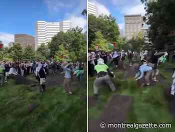 McGill, Quebec politicians denounce 'unacceptable' vandalism on campus