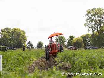 Conditions prove challenging at Lambton plowing match