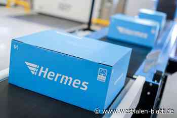 Hermes-Fahrzeug mit mehreren geöffneten Paketen in Lippe entdeckt