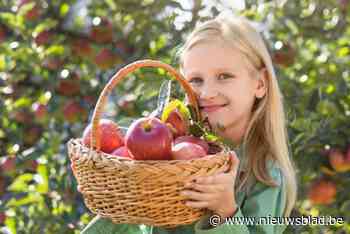 Klaar om te plukken: vul je mandje met appels en peren in deze boomgaarden of bezoek deze fruitevenementen
