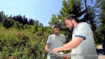 Klimawandel im Wald: „Das Waldbild wird sich verändern“
