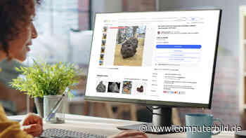 Echter Meteorit fürs Wohnzimmerregal: Jetzt bei Ebay zuschlagen