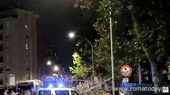 Casal Bruciato: grosso ramo si spezza e finisce in strada