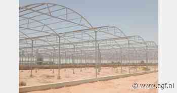 "Groenten telen in Saoedi-Arabië goedkoper dan import"
