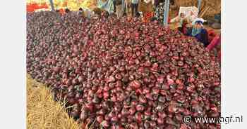 "Prijs Egyptische uien gehalveerd"