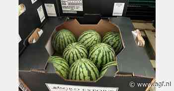 Groei Panamese watermeloenexport naar Europa en andere markten