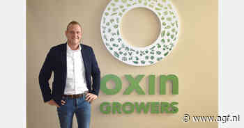 "Hoge prijzen komkommers, goede prijzen paprika's, maar tomaten hebben nog wat in te halen"