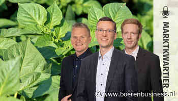 'Warme nazomer als prikkel voor de prijzen'