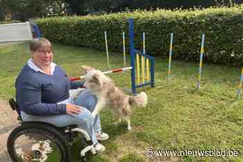 An Wauters gaat met hond Tinsel naar WK Para Agility en hoopt er voor het laatst de enige Belg te zijn