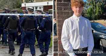 ‘Revelry turned to tragedy in blink of an eye’ as Harry Pitman was killed