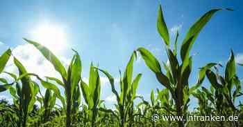 Europäische Unternehmen fordern Gentechnik-Kennzeichnung