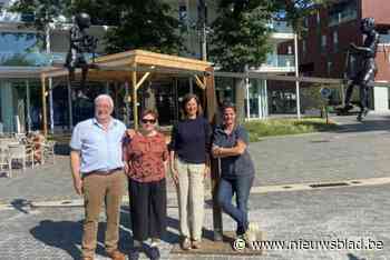 Kunstwerk dat kwetsbaarheid van samenleving aantoont werd na amper twee dagen vernield: “Wat er gebeurd is, is respectloos”