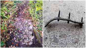 „Mensch und Tier in Gefahr“: Unbekannter vergräbt Eisen mit Nägeln auf Mountainbike-Strecke