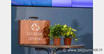 Duurzame Lintjes voor Ad Vlems, Raki Ap en Lara Woltersis