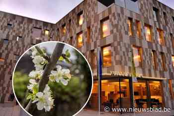 Gemeente Willebroek sponsort 15 procent bij aankoop streekeigen fruitbomen en haagplanten