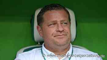 Bayern-Boss Eberl ätzt gegen Journalisten