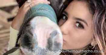 Girl, 15, fighting for her life after falling from holiday hotel balcony