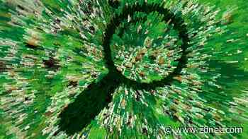 Real-life computer bugs? Student Chromebooks infested with bedbugs - and it's not the first time