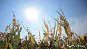 Ist das die neue Normalität?: Der September startet rekordverdächtig heiß