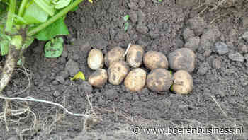 54 ton opbrengstverschil tussen percelen bij VTA