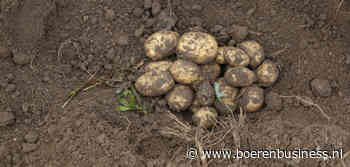 Minder kilo’s per hectare met een fijnere sortering