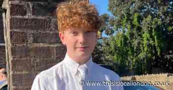 'Lively and boisterous' Harry Pitman killed 'in blink of an eye' on Primrose Hill