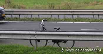 'Volgens Google Maps' zou dit de snelste route naar school zijn, maar jongen (17) fietst vervolgens doodleuk op de snelweg