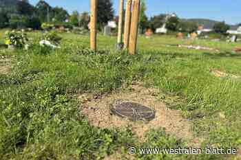 Erste Baum-Urnenbestattung in Beverungen