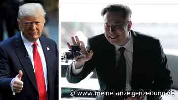 „Kann es kaum erwarten“: Musk freut sich bereits auf Posten in Trumps Regierung