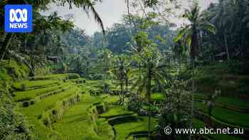First stop Kuta beach: Bali plans underground train to reduce holiday-ruining traffic