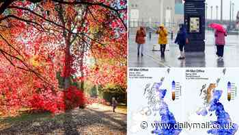 Every cloud has a silver lining! Britain is set for a 'spectacular' autumn with tree colours even MORE glorious than usual thanks to the higher-than-average rainfall this year, experts say