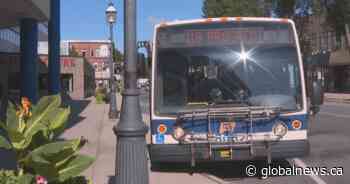 Fredericton Transit update proposes changes to routes