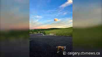 Wednesday is the 'cool' day, this week, but that's not really saying much