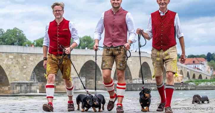 Weltgrößte Dackelparade in Regensburg erwartet