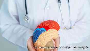 Im Wettlauf gegen Alzheimer: 'Wundermittel' gefunden?