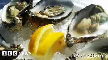 Oyster festival cancelled due to rising costs
