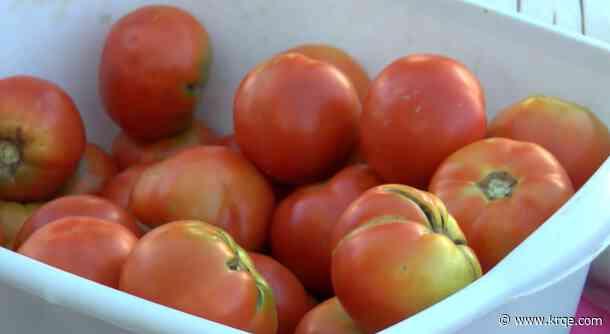 Bernalillo County to build urban agriculture project in the International District