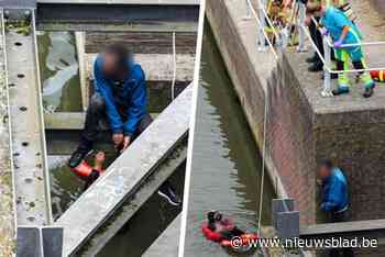 Heldhaftige voorbijganger redt vrouw die in water terechtkomt: “Zonder zijn ingrijpen was dit mogelijk anders afgelopen”