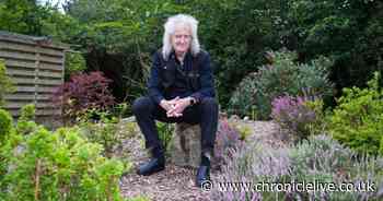 Queen's Brian May suffers stroke and left with life-changing mobility issues