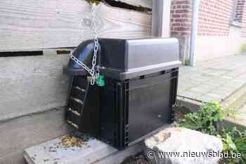 Gemeente plaatst bijkomende ‘slimme’ rattenvallen: “Ratten slaan niet eens meer op de vlucht als ze mensen zien”