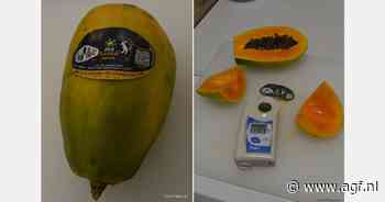 "Papaya’s ontwikkelen zich steeds meer tot actieproduct voor de herfst”
