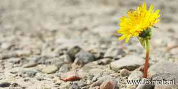 Must read: Lichtpuntjes?