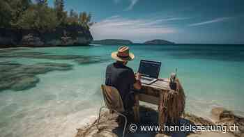 Finden Sie Workation eine gute Idee?