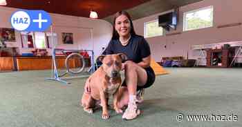 Hannover: Listenhund "Paco" überrascht bei RTL-Serie „Top Dog Germany“