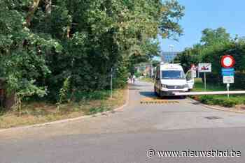 Mol voert eerste fietsstraat in aan basisschool ’t Egeltje